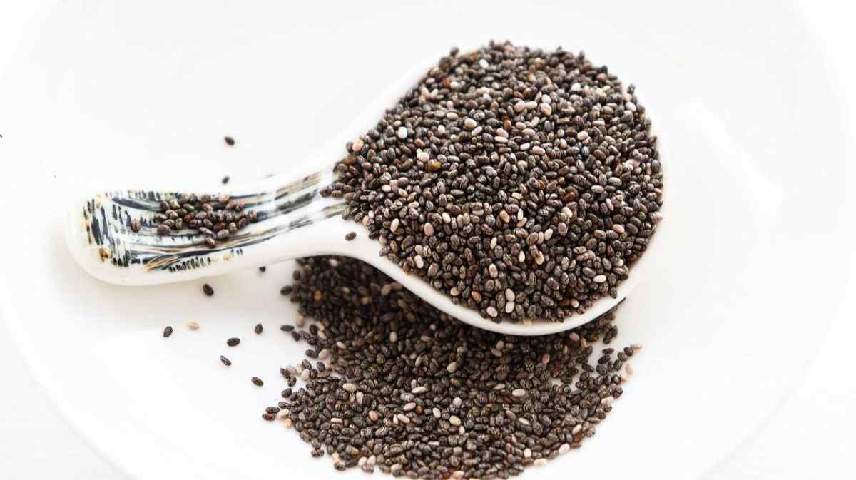 How to Grow Chia Seeds? Growing and Harvesting Gardendi